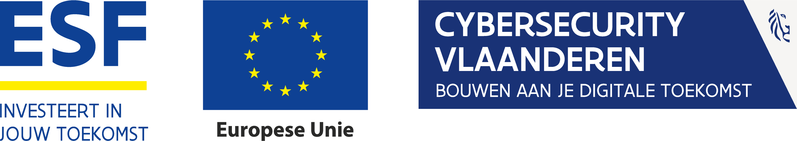 ASF cyberaanvallen