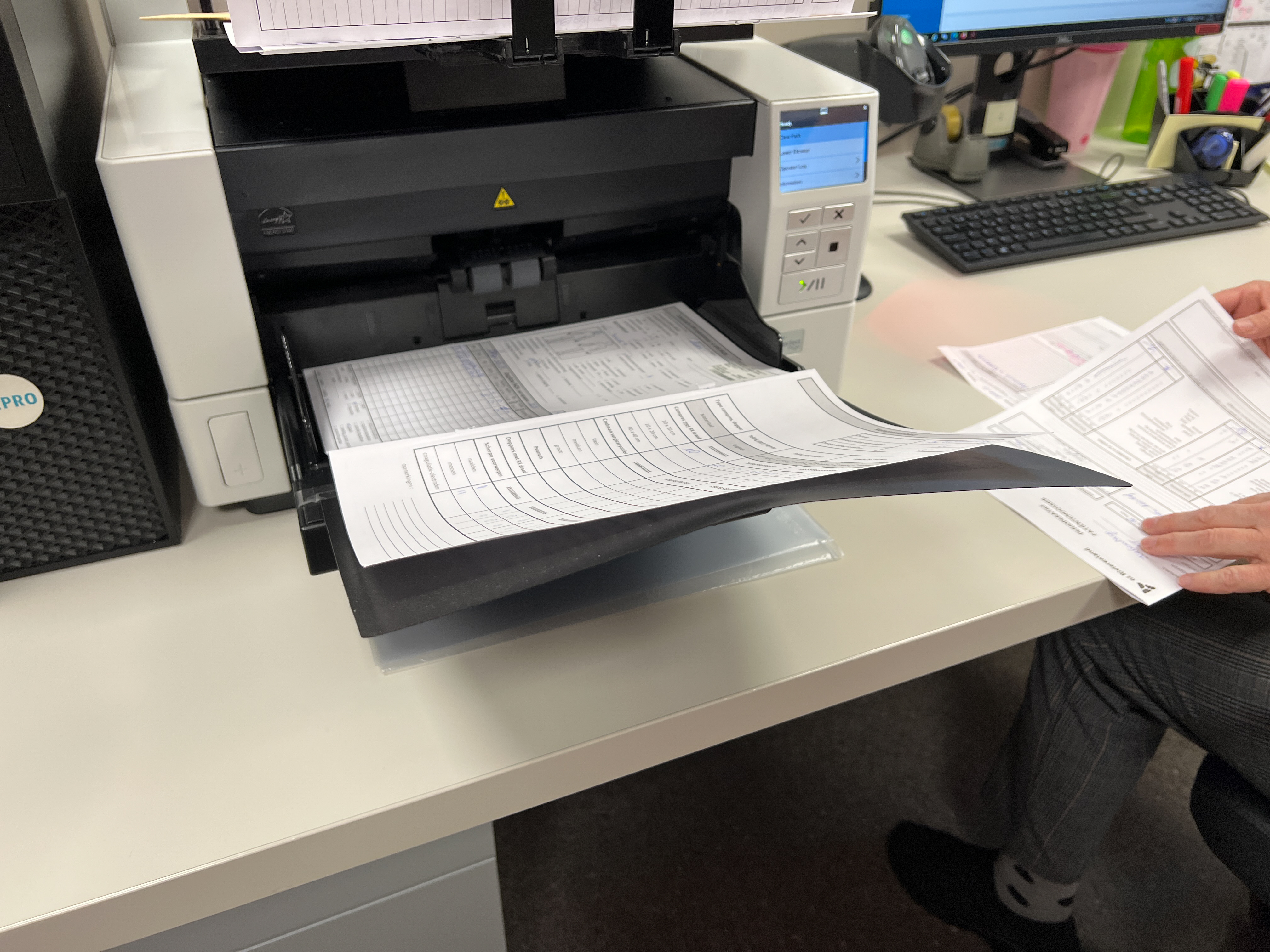De losgescheurde bladeren worden in de scanner gestoken.