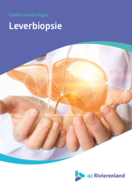 Leverbiopsie