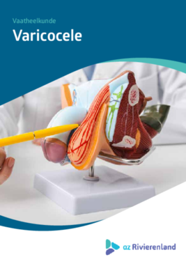 Varicocele 