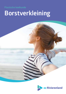 Borstverkleining